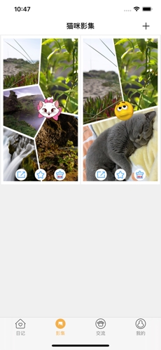 宠猫日记图3