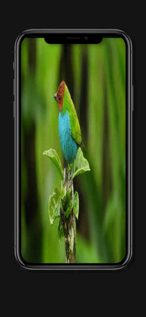 窗口4图2