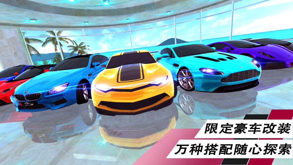 夺冠赛车手图4