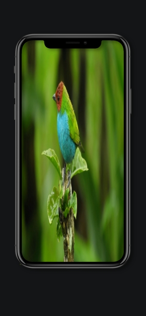 窗口4图1