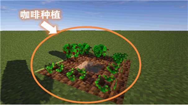 我的世界咖啡工艺图2