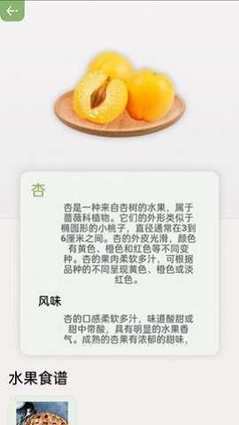 指尖果园图3