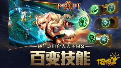 火炬之光手游图2