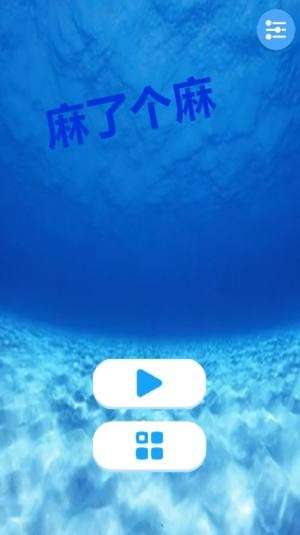 麻了个麻图3