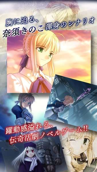 fate stay night图1