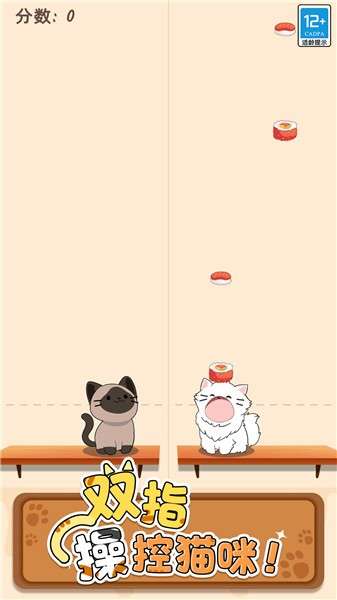 猫咪二重奏中文版图2