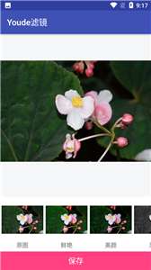Youde滤镜图1