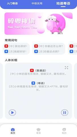 粤通行图2