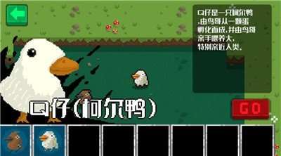 小鸟与黑暗森林图1