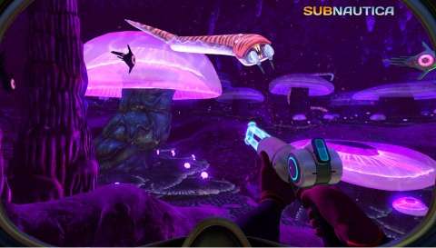 美丽水世界（Underwater Survival）图3