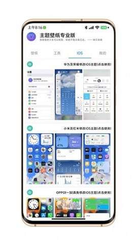 汇飞主题壁纸图2
