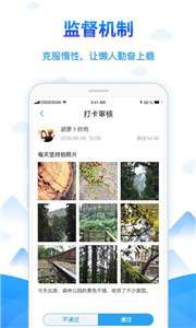 学树习惯图3