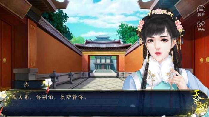 天赐妃命完结破解版清软图3