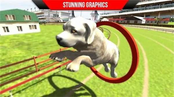 狗狗训练3D图2