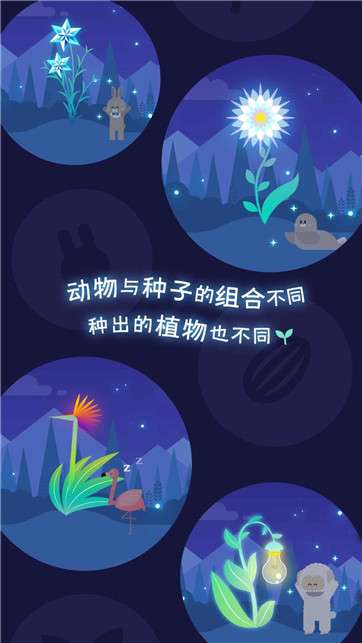夜之森游戏图2