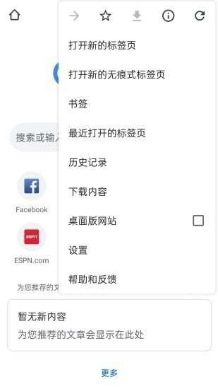 谷歌Chr ome图2
