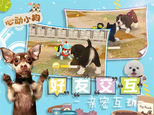 心动小狗图1