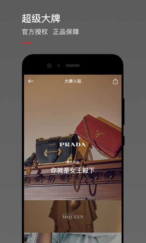魅力惠图1