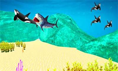巨型鲨鱼3dMegaSharks3d图1
