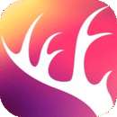 Charmdeer
