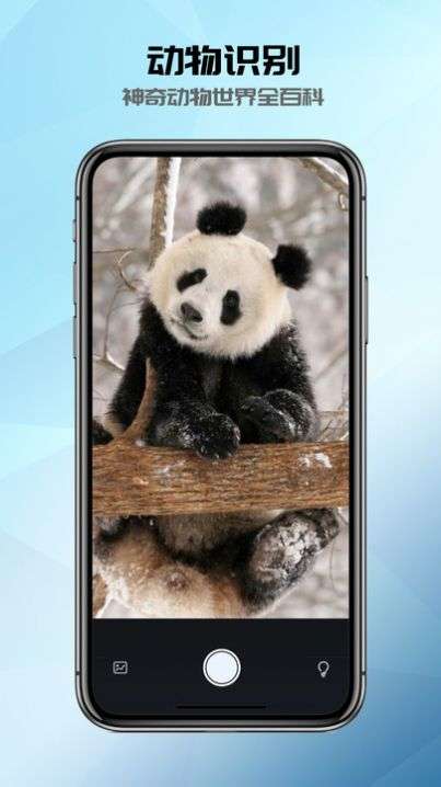 全能识别器图2