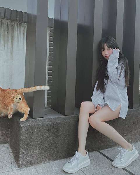 菠萝菠萝蜜视频在线观看时间高清图1