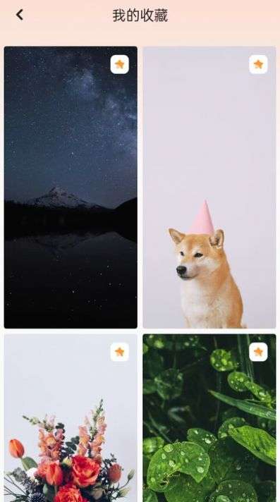 天天换壁纸图2