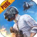 pubg呆呆国体v2