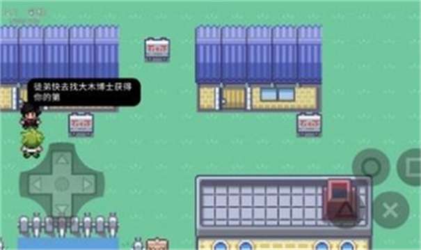 口袋妖怪无限融合5.0汉化版图2