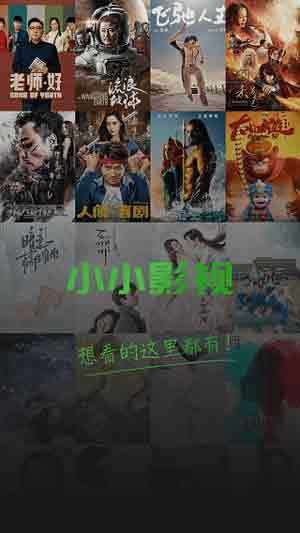 小小影视ios图3