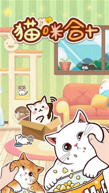 猫咪合十图1