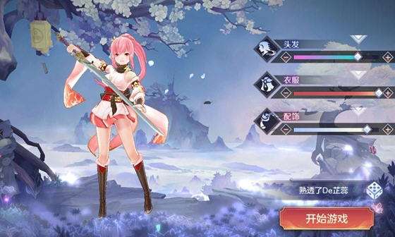 刀剑神姬图5