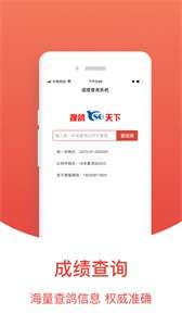 赛鸽头条图3