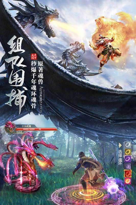 新斗罗大陆钻石无限版图4