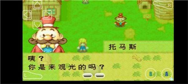 牧场物语女孩版图1