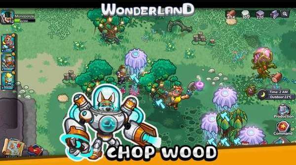 WonderLand图2