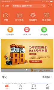 小猫爱车图1