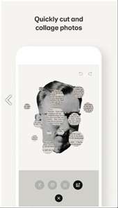 paper图1