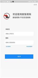 数智易账图1