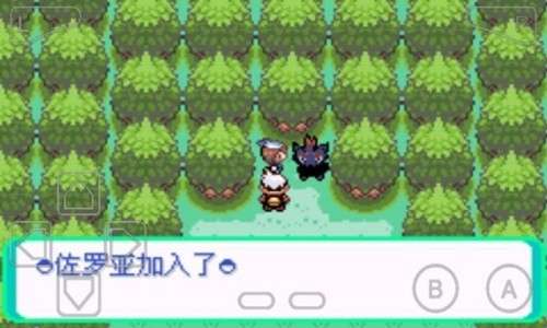 口袋妖怪漆黑的魅影苹果版图3