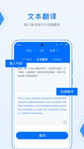 deepl翻译图3