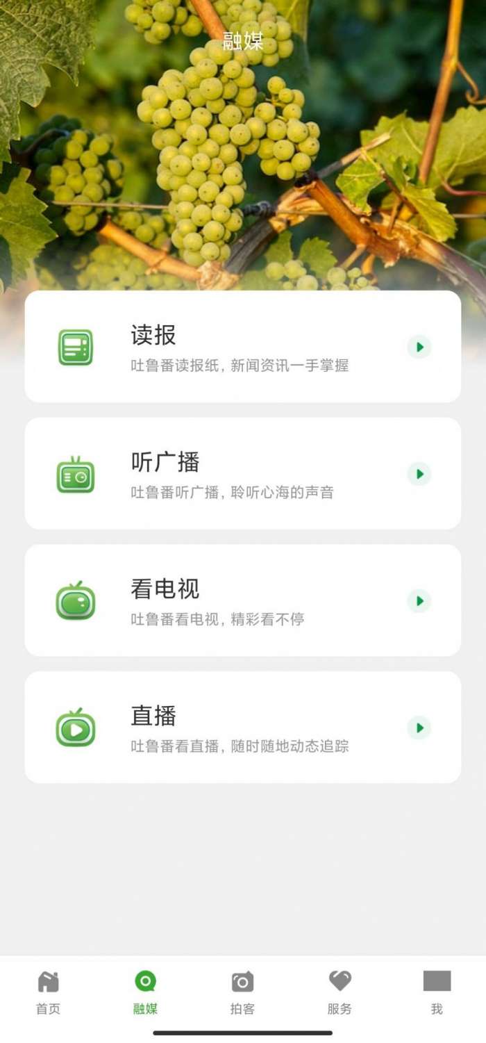 葡萄熟了图1