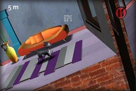 小猫出逃记(Cat escape)图1