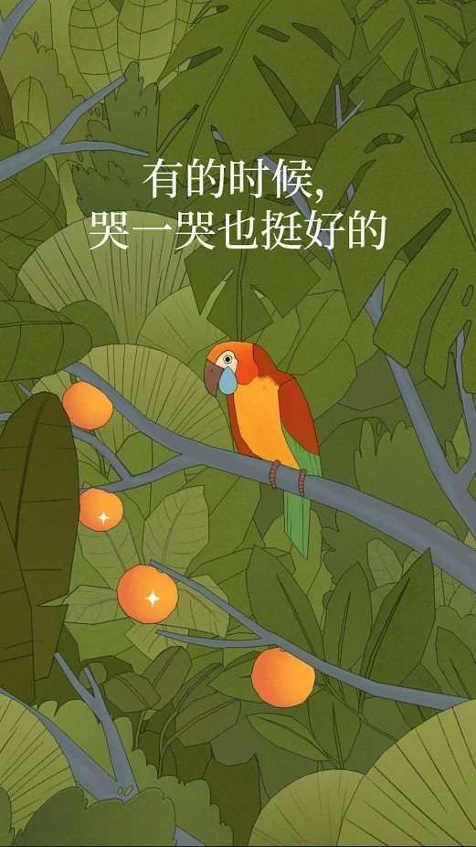 孤独的鸟儿正版图4