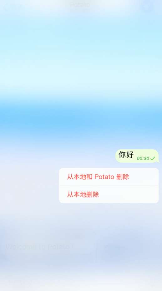 potato土豆聊天中文版图3