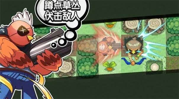 代号菜鸡世界图3