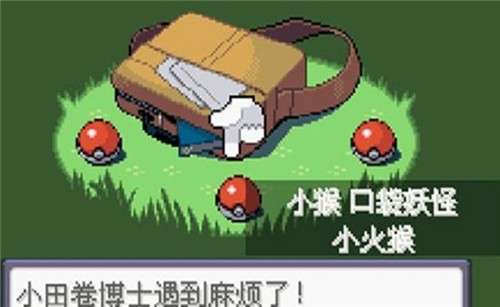 口袋妖怪漆黑的魅影苹果版图4