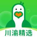 小鸽鲜达