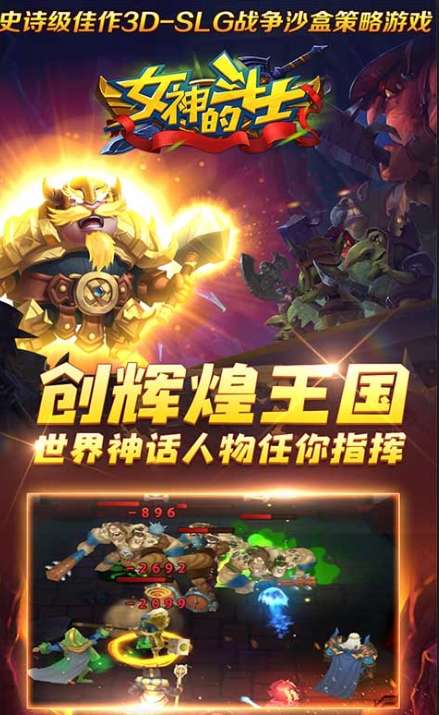 女神的斗士图1