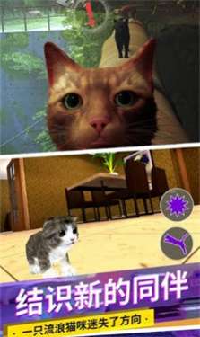 猫咪城市模拟器图2